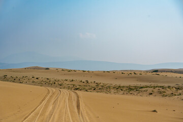 Golden desert dunes illuminated by sunbeams under a dramatic sky