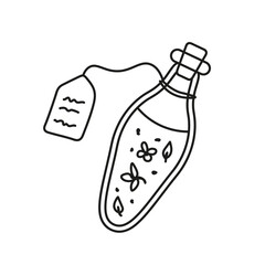 Herbal potion in magic bottle with stopper and label. Vector hand drawn illustration.