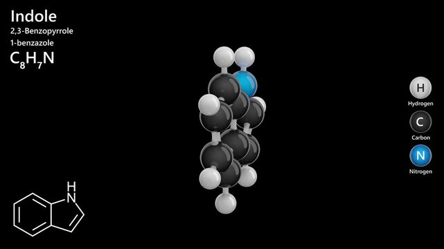 Indole. Aromatic heterocycle. Animated 3D model of a molecule. Molecular formula: C8H7N. Chemical model: Ball and stick. Black background. 3D rendering. Seamless loop.