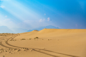 Golden desert dunes illuminated by sunbeams under a dramatic sky