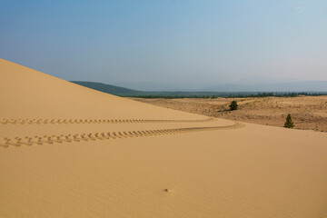 Golden desert dunes illuminated by sunbeams under a dramatic sky