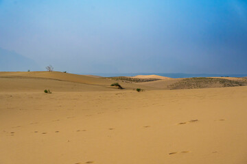 Golden desert dunes illuminated by sunbeams under a dramatic sky