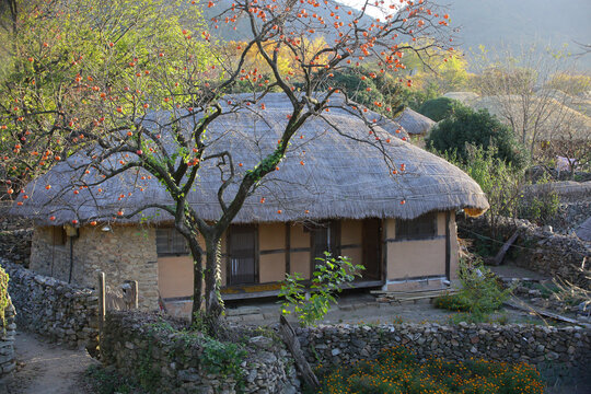 Autumn scenery of Nakanupseong Folk Village in Suncheon, South Jeolla Province, South Korea