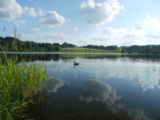 Stadtweger Teich am Zellerfelder Kunstgraben, Clausthal-Zellerfeld, Oberharz, Niedersachsen