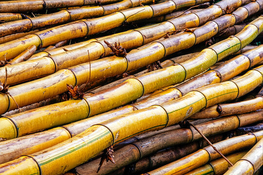Close-up detail of a stack of bamboo stalks; Nong Bua Lumphu, Thailand