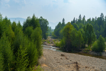 Fototapeta premium Forest river with rocky shore and green trees in summer