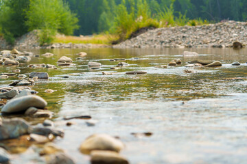 Shallow river with rocky bottom flowing under bridge on a sunny day
