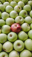 Pile of green apples with single red apple in center