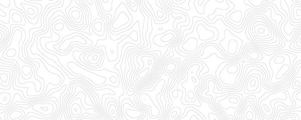 Subtle Topography Lines, Seamless Vector Background for Minimalistic Projects
