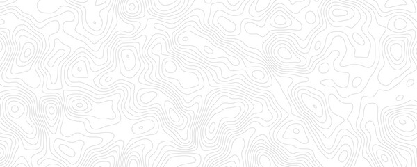 Subtle Topographic Line Pattern, Seamless Monochrome Background for Modern Aesthetic
