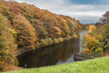 Gold, orange and yellow leaves of autumn catch the light and illuminate trees alongside the lower reservoir of Chellow Dene one of Bradford District's many peaceful parkways much enjoyed by walkers