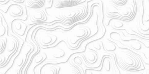 Fototapeta premium Abstract White paper cut background with lines. white line drawing geometric paper art design. 3d papercut decoration textured with wavy layers. 3d realistic design used for banner, posters. line maps
