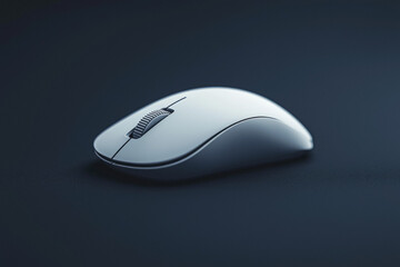 Computer Mouse White Background