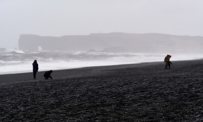 Tourists exploring black sand beach with dramatic waves crashing on shore