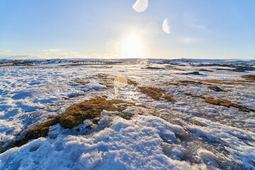 Sun shining on a snowy and icy landscape