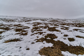 Snow patches melting on dry grass under a cloudy sky