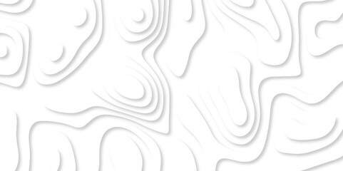 Fototapeta premium Abstract White paper cut background with lines. white line drawing geometric paper art design. 3d papercut decoration textured with wavy layers. 3d realistic design used for banner, posters. line maps