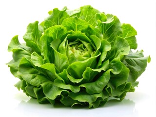 lettuce isolated on white background