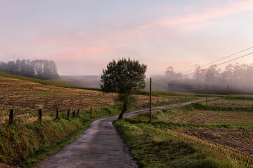 Obraz premium Road in the Morning