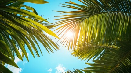 Fototapeta premium Radiant sunlight through tropical palm leaves, bright blue sky background