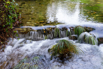 waterfall in the forest