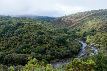 river in the mountains