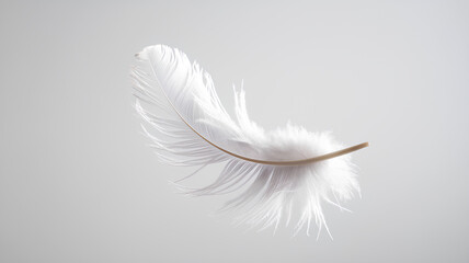 Obraz premium a feather falling gently