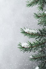Fototapeta premium Close-up of green pine tree branches with snow falling. Wintery background, banner, poster, wallpaper.