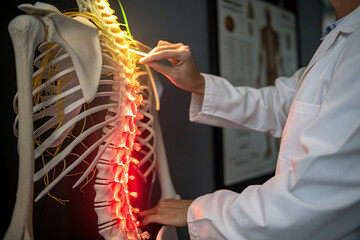 Spinal Injury Visualization