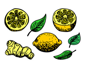 A vibrant botanical pattern featuring lemons, green tea leaves, ginger root, blending natural elements and culinary themes for a fresh, exotic design.