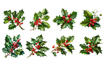 Festive Holly Leaf and Berry Set