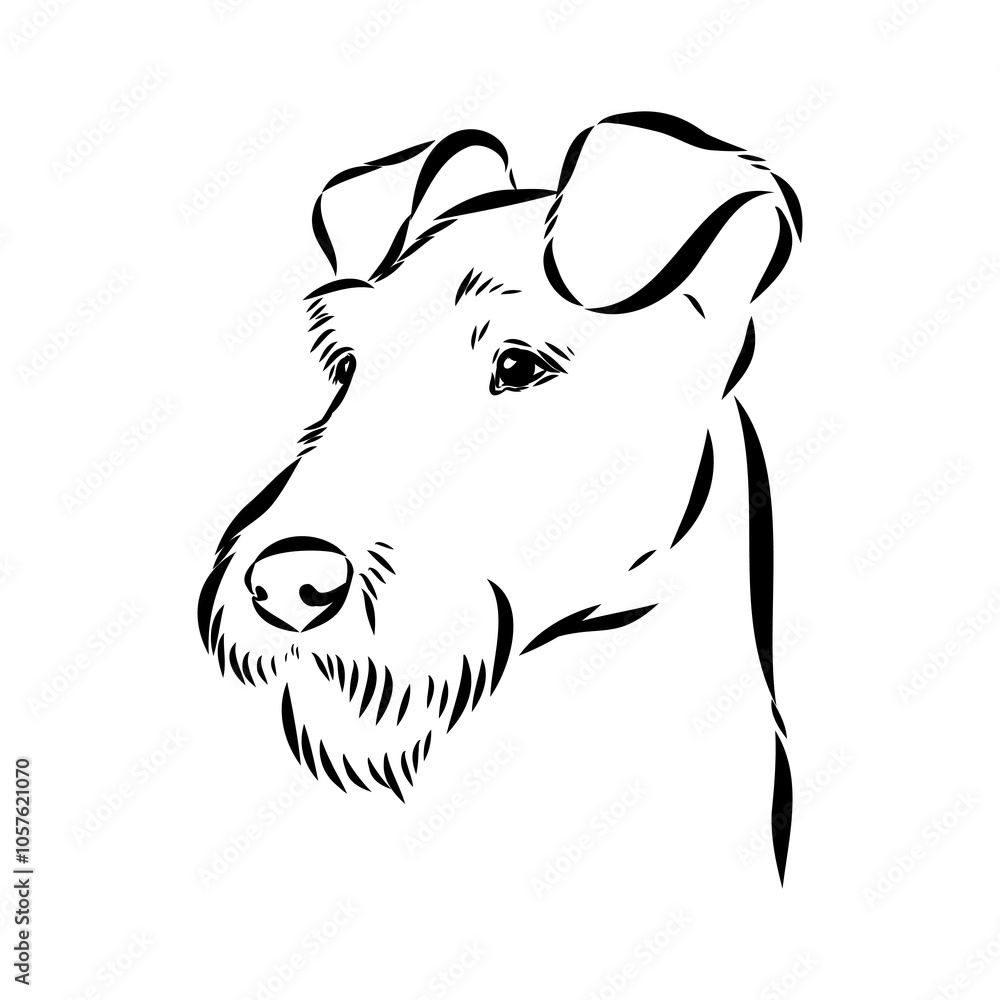 Wall mural Dog . Vector silhouette of dog. Irish terrier, vector sketch