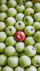 Green apples with a single red apple standing out in center
