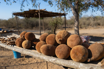 A variety of fresh baobab fruits are neatly arranged on a wooden stand for sale at a local market...