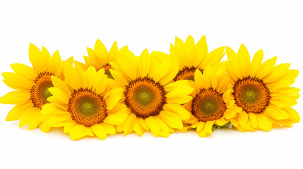 A vibrant arrangement of sunflowers showcasing their bright yellow petals and textured centers.