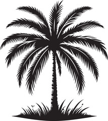 plam tree silhouette 