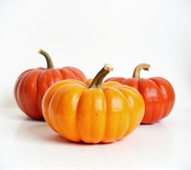 Obraz premium pumpkins different vegetables on white background