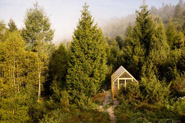 A secluded greenhouse nestles in the heart of a lush forest, offering a peaceful retreat and a self-sustaining way of life amidst the beauty of nature