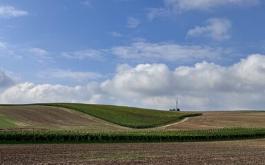 Fototapeta premium field and blue sky