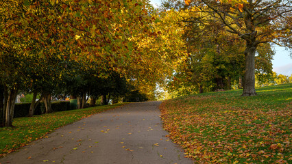 London - 10 15 2022: Roundwood Park Hilltop Avenue