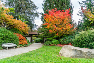 Fototapeta premium Kubota Autumn Entrance 5