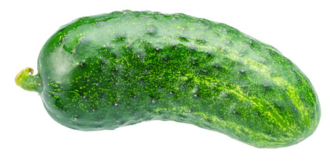Cucumber isolated on white background. File contains clipping path.