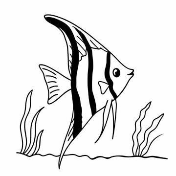 Angelfish clip art preview