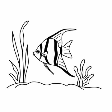 Angelfish clip art preview