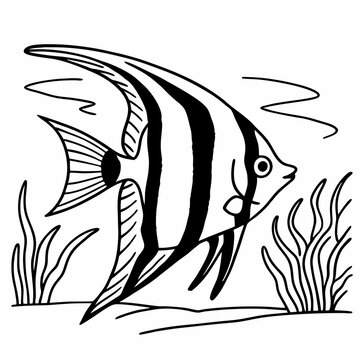 Angelfish clip art preview