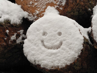 a pile of logs covered in snow with a smiley face drawn on one