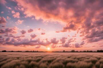 Fototapeta premium Soft pink and orange sunset over an open field the sky full of fluffy clouds, AI Generated