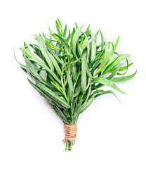Obraz premium Tarragon grass on white backgrounds