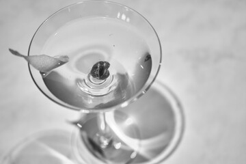 Lemon Zest Adorned Clear Cocktail