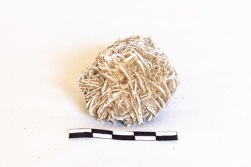 A rosette aggregate of gypsum and sand know as a desert rose on a white background.